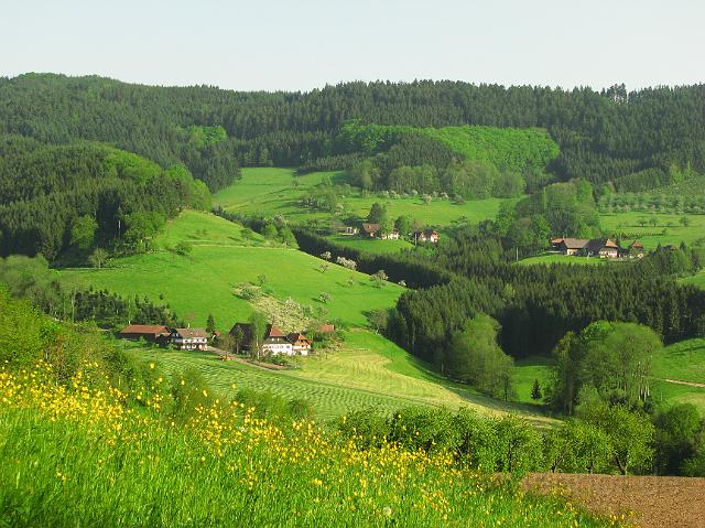 2Oberentersbach Blick zu den Strickerhoefen.JPG
